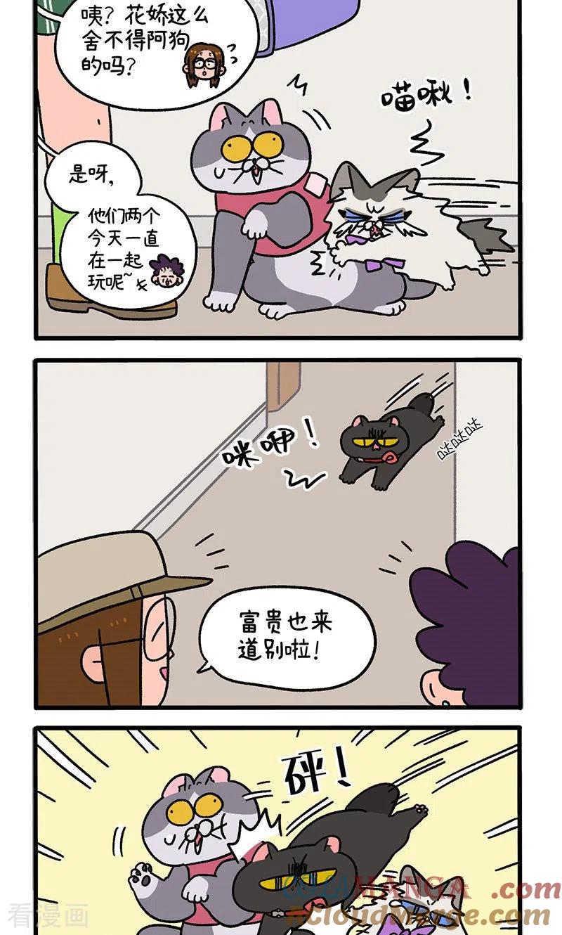 第101话2哥哥不同意-阿满和麦茶-新漫画 日胖大海寺（第2张）
