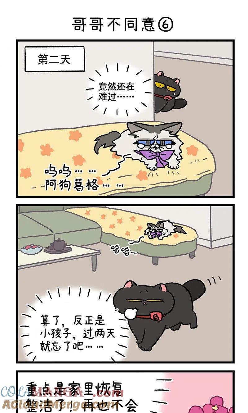 第101话2哥哥不同意-阿满和麦茶-新漫画 日胖大海寺（第5张）