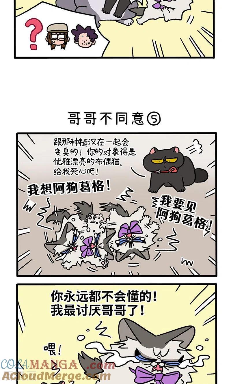 第101话2哥哥不同意-阿满和麦茶-新漫画 日胖大海寺（第3张）