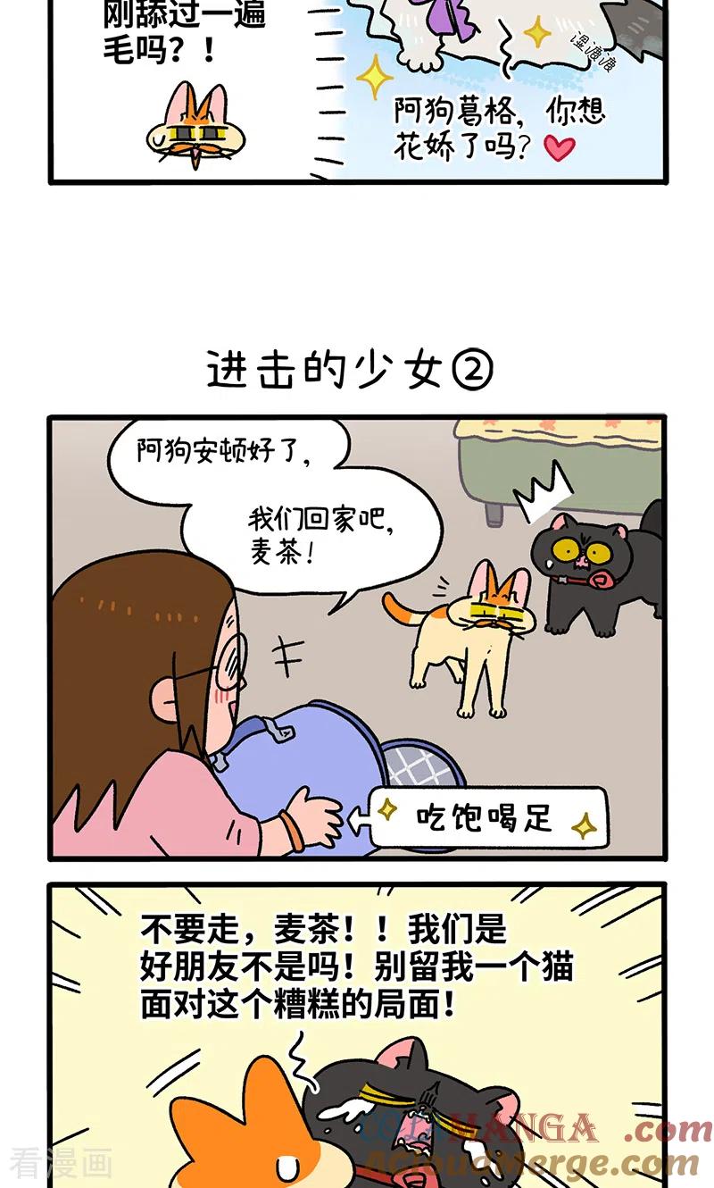 第102话1进击的少女-阿满和麦茶-新漫画 日胖大海寺（第3张）