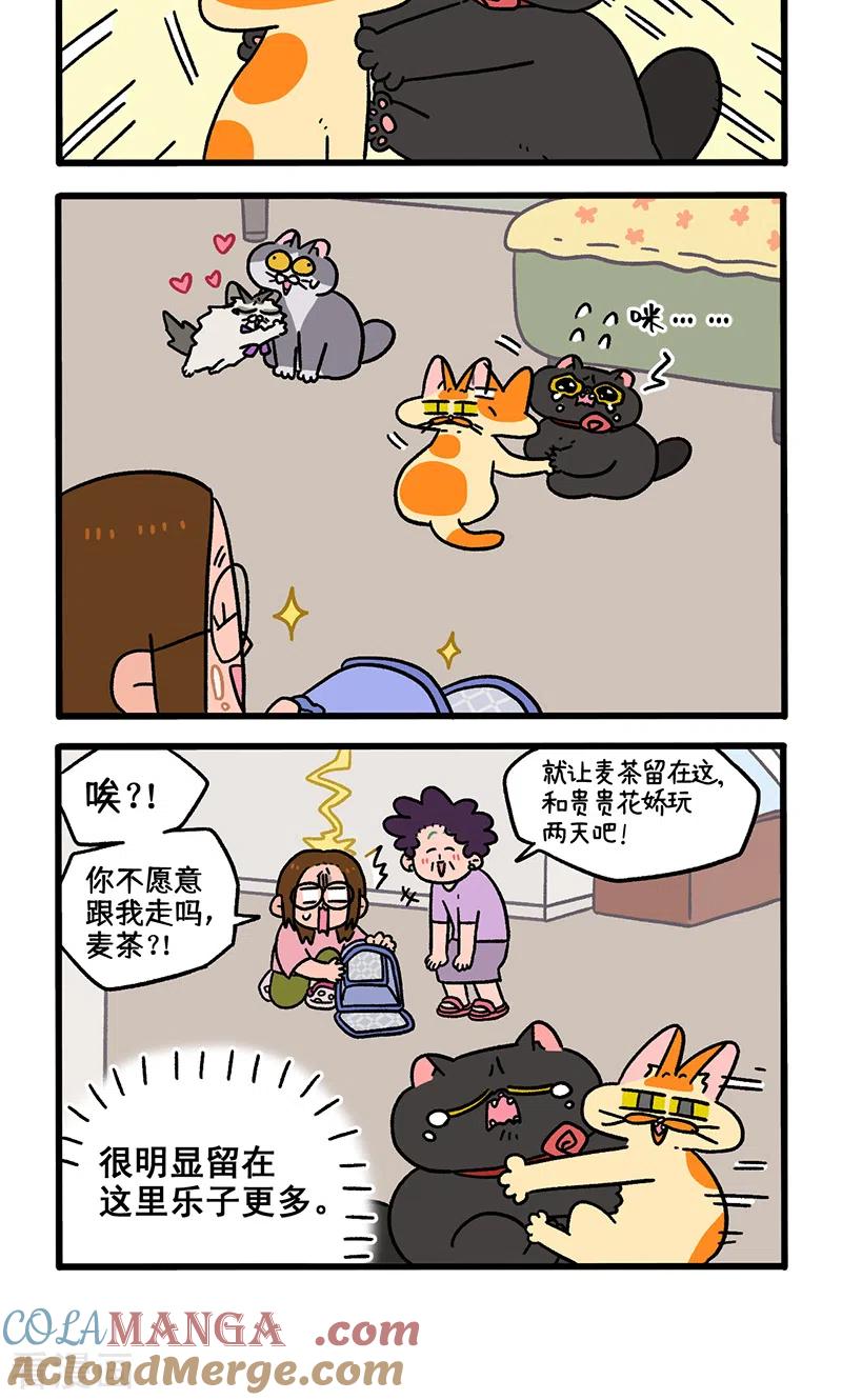 第102话1进击的少女-阿满和麦茶-新漫画 日胖大海寺（第4张）
