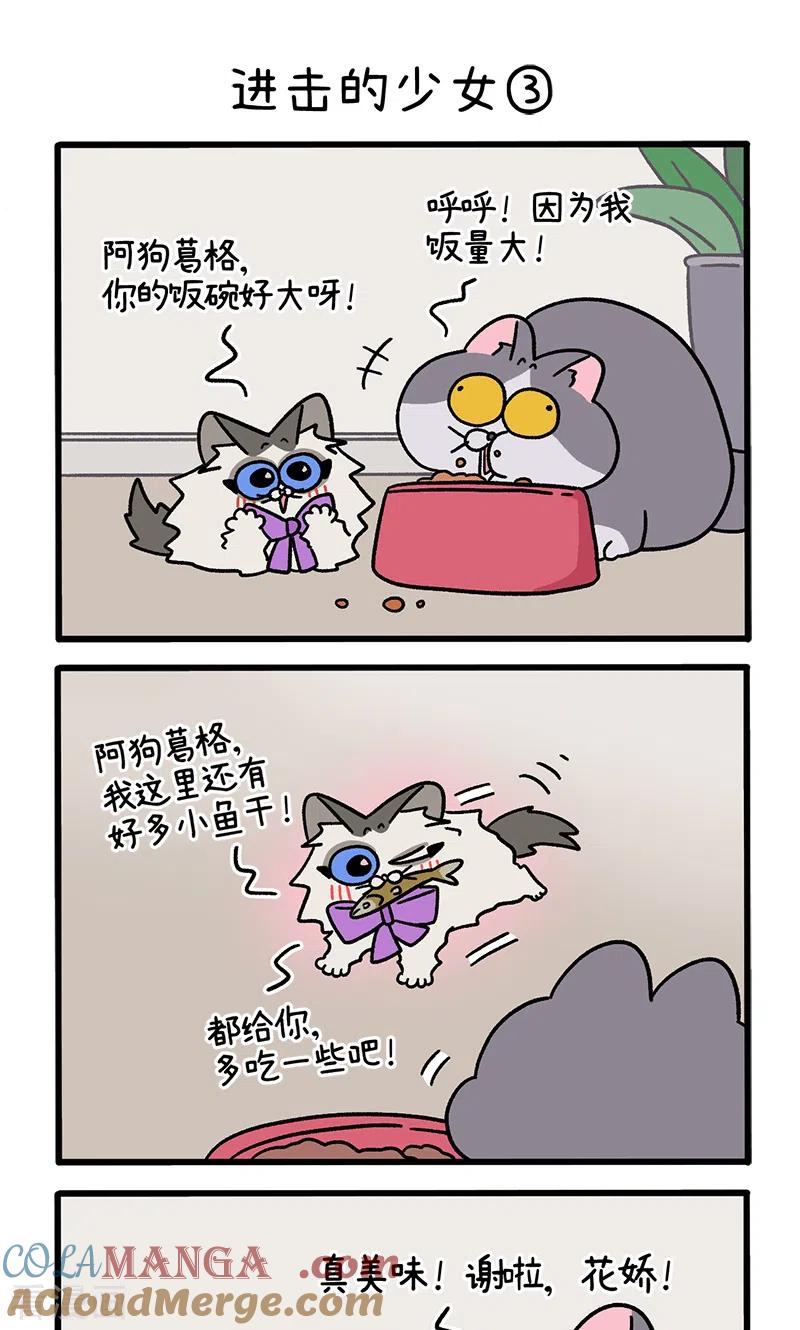 第102话1进击的少女-阿满和麦茶-新漫画 日胖大海寺（第5张）