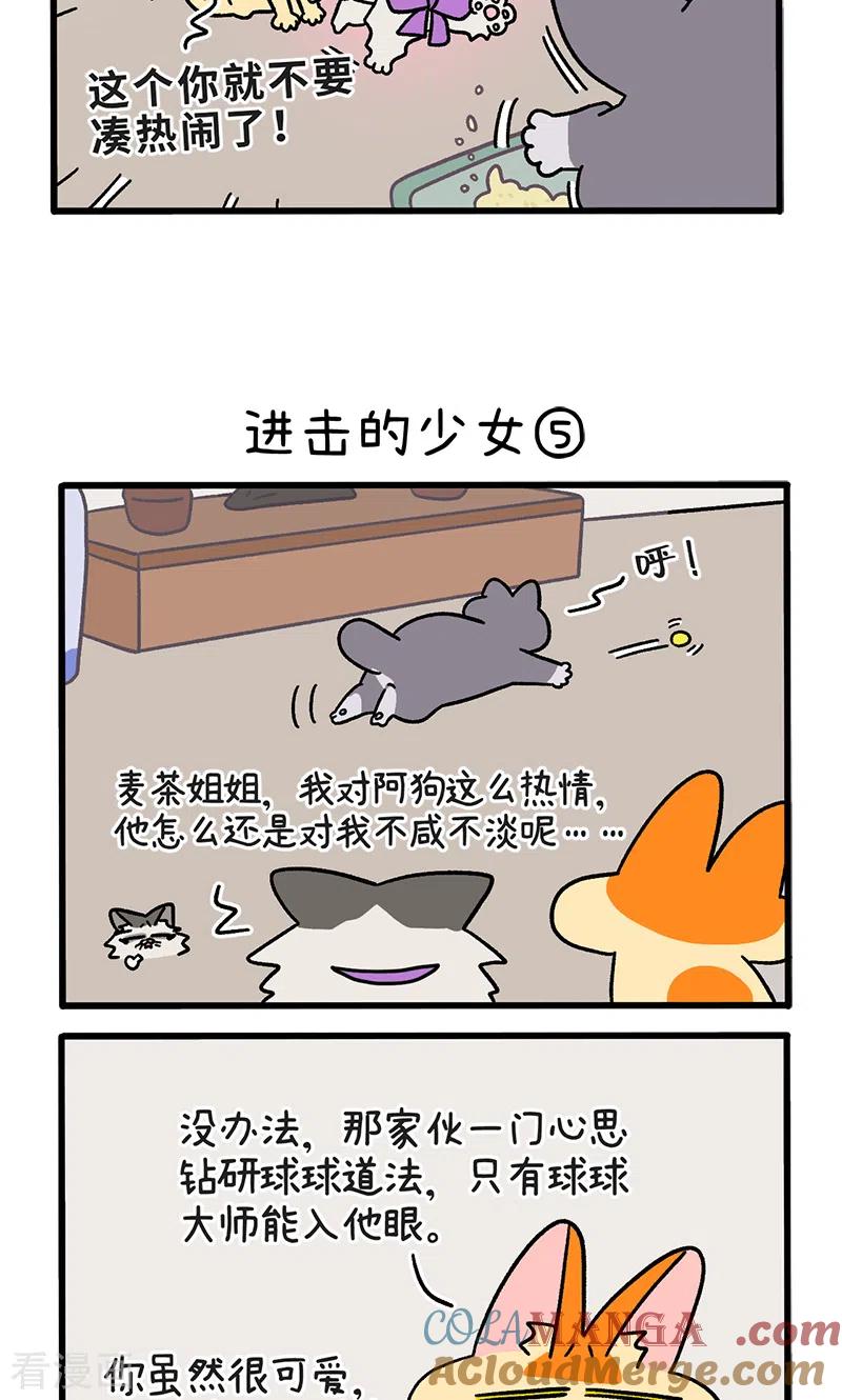 第102话2进击的少女-阿满和麦茶-新漫画 日胖大海寺（第3张）