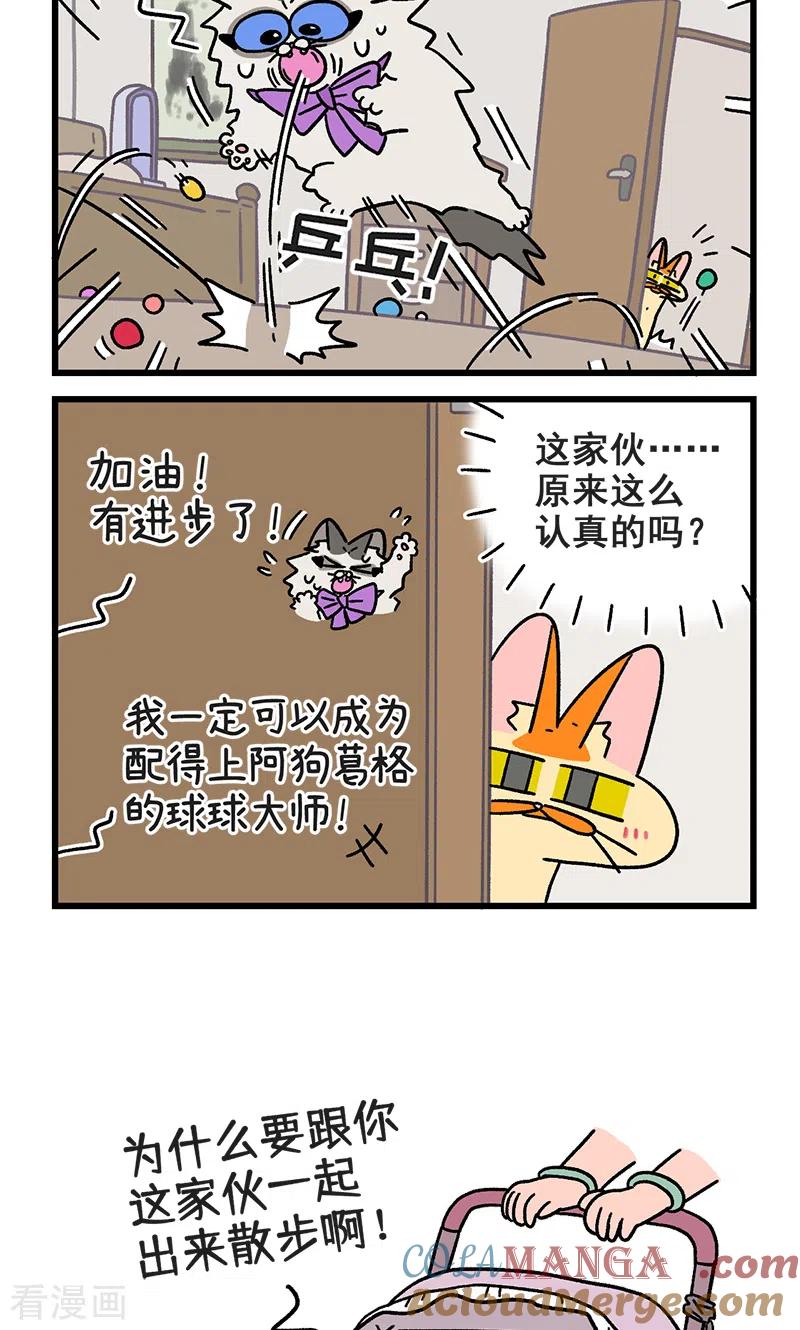 第102话2进击的少女-阿满和麦茶-新漫画 日胖大海寺（第6张）