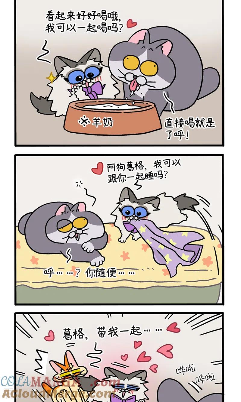 第102话2进击的少女-阿满和麦茶-新漫画 日胖大海寺（第2张）