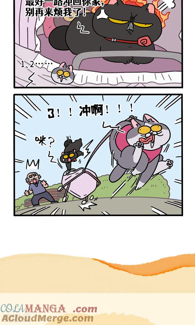 第103话1球球之魂-阿满和麦茶-新漫画 日胖大海寺（第6张）