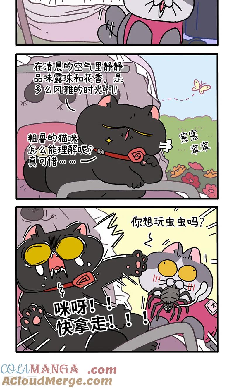 第103话1球球之魂-阿满和麦茶-新漫画 日胖大海寺（第4张）