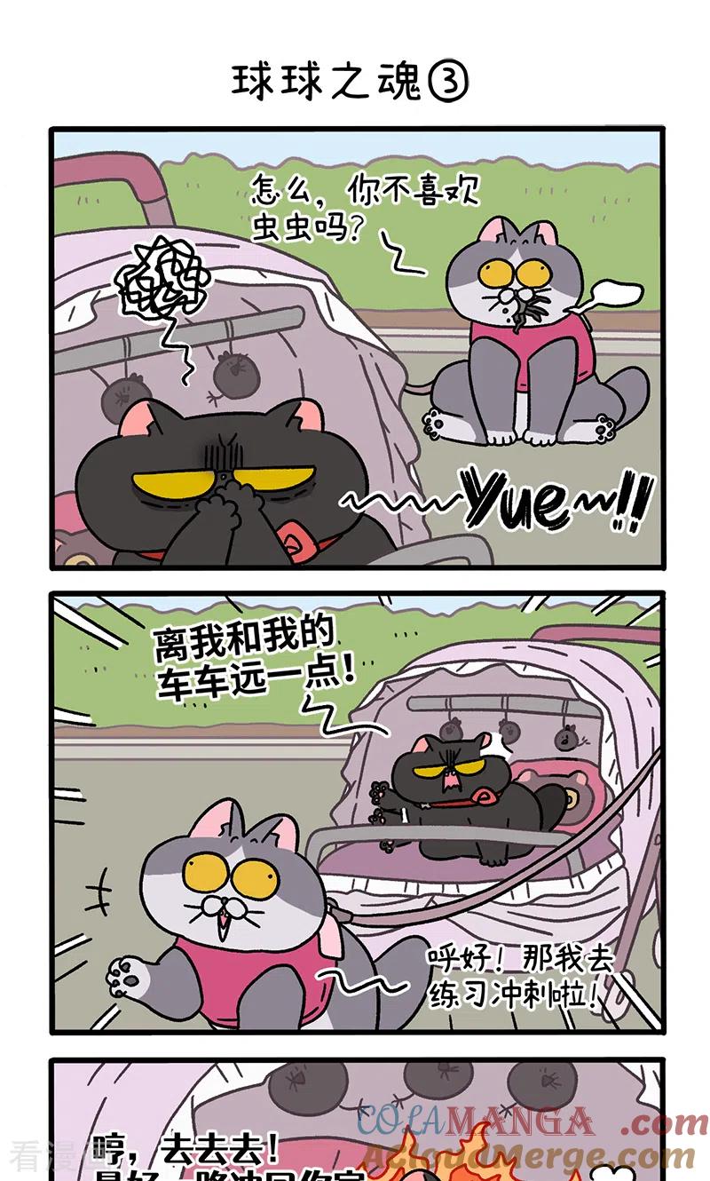第103话1球球之魂-阿满和麦茶-新漫画 日胖大海寺（第5张）