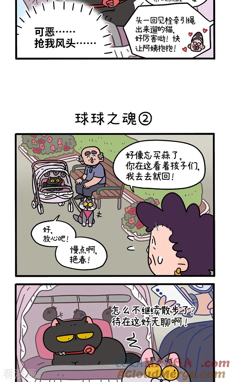 第103话1球球之魂-阿满和麦茶-新漫画 日胖大海寺（第3张）