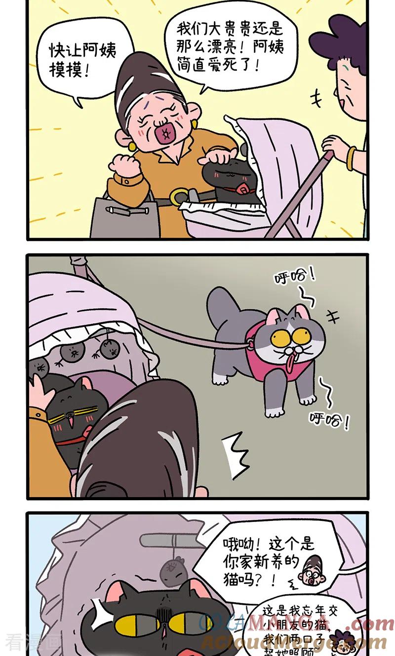 第103话1球球之魂-阿满和麦茶-新漫画 日胖大海寺（第2张）