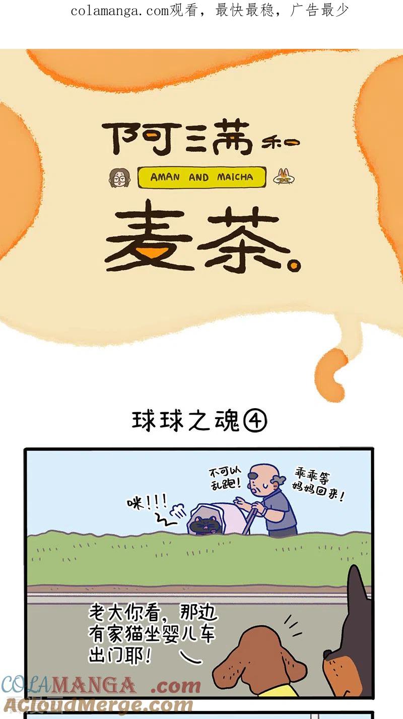 第103话2球球之魂-阿满和麦茶-新漫画 日胖大海寺（第1张）