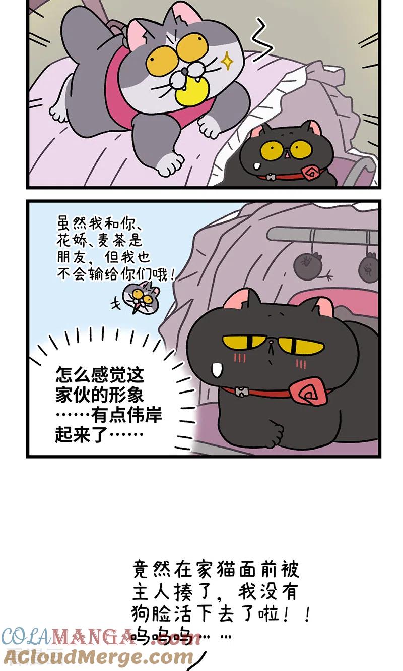 第103话2球球之魂-阿满和麦茶-新漫画 日胖大海寺（第6张）