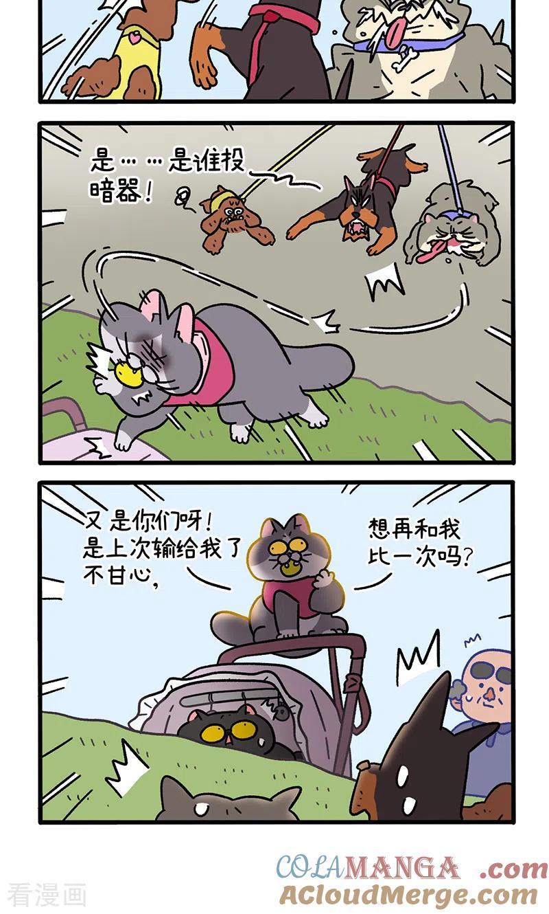 第103话2球球之魂-阿满和麦茶-新漫画 日胖大海寺（第4张）