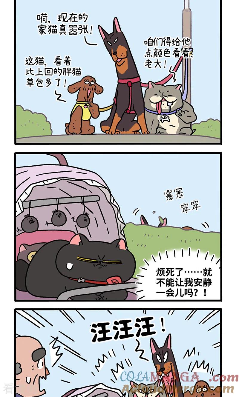 第103话2球球之魂-阿满和麦茶-新漫画 日胖大海寺（第2张）