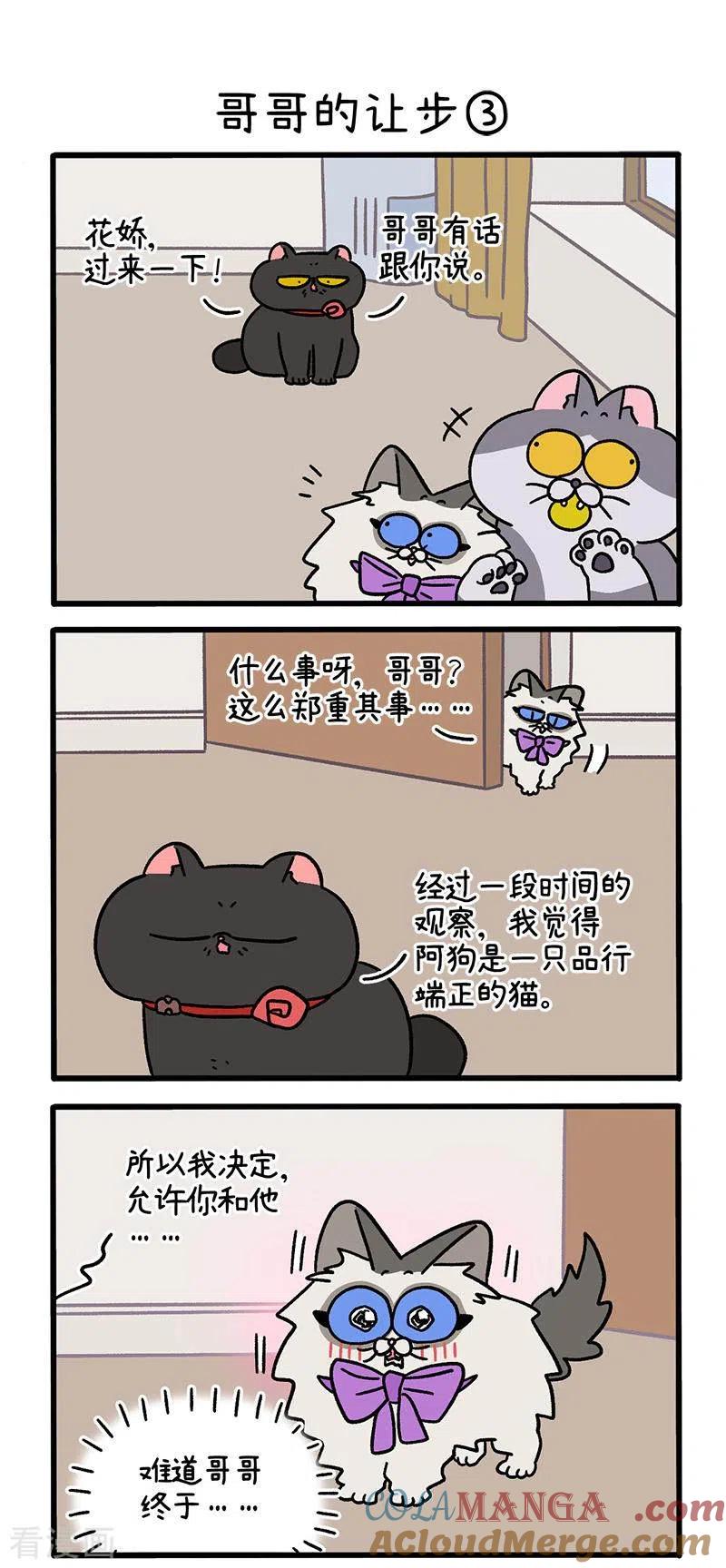 第104话1哥哥的让步-阿满和麦茶-新漫画 日胖大海寺（第4张）