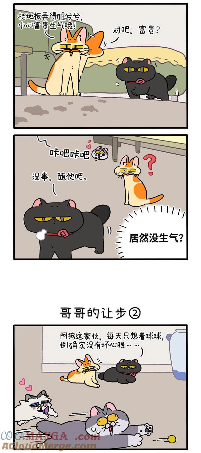 第104话1哥哥的让步-阿满和麦茶-新漫画 日胖大海寺（第2张）