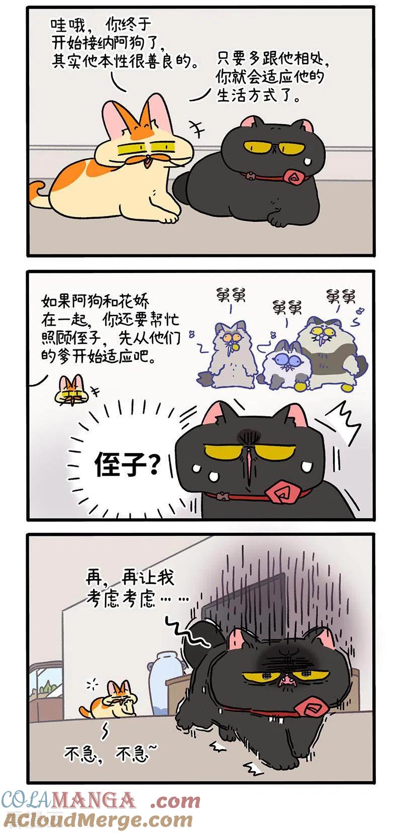 第104话1哥哥的让步-阿满和麦茶-新漫画 日胖大海寺（第3张）