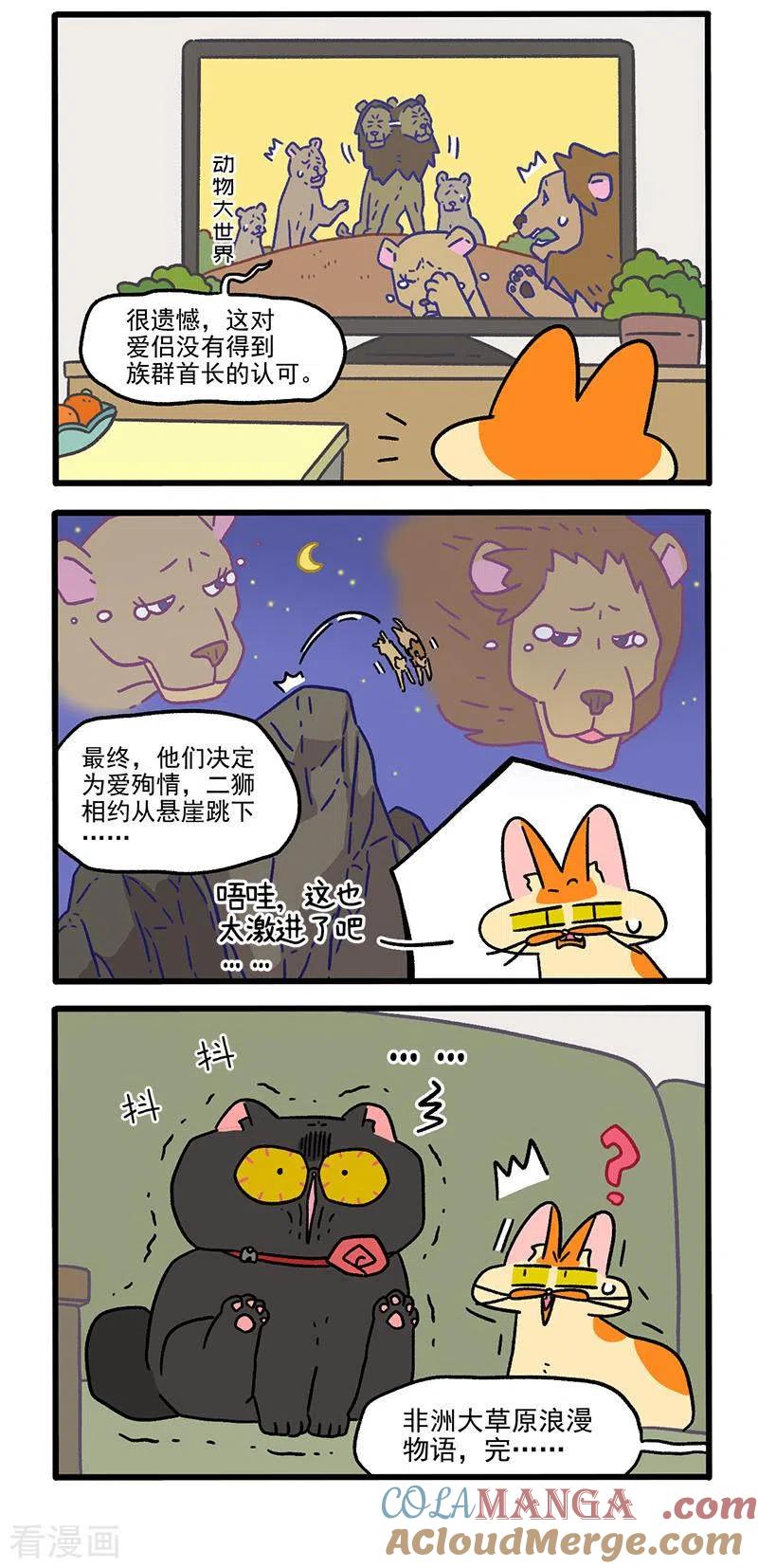 第104话2哥哥的让步-阿满和麦茶-新漫画 日胖大海寺（第3张）