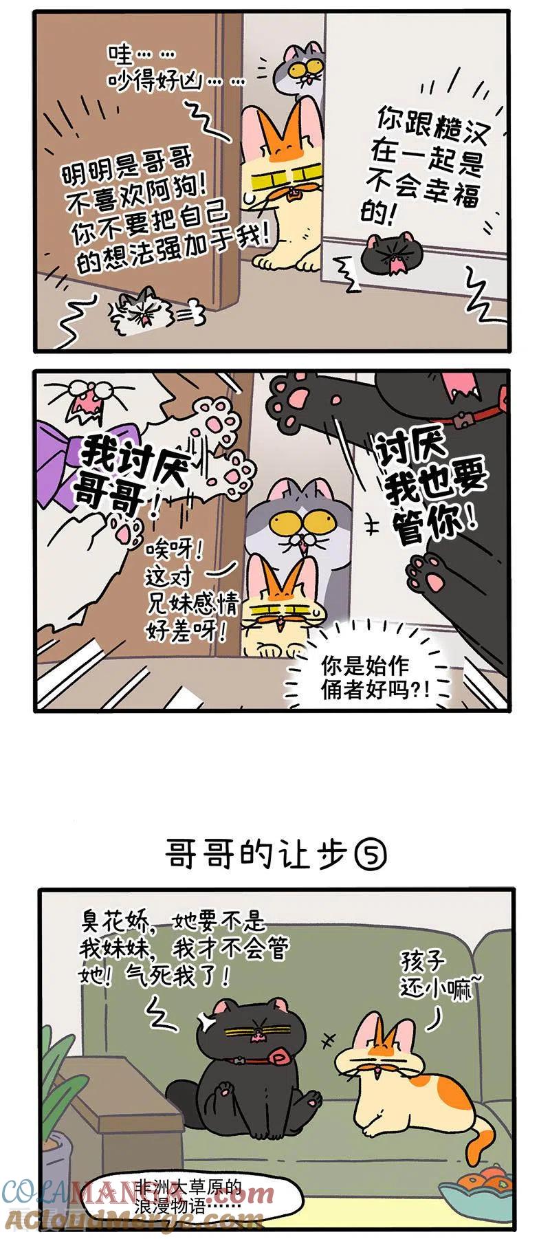 第104话2哥哥的让步-阿满和麦茶-新漫画 日胖大海寺（第2张）