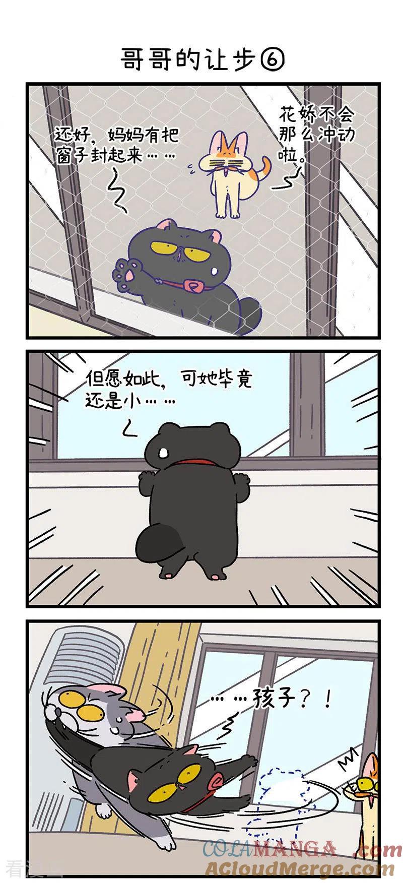 第104话2哥哥的让步-阿满和麦茶-新漫画 日胖大海寺（第4张）