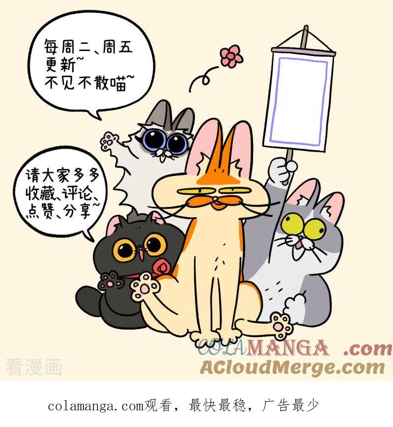第104话2哥哥的让步-阿满和麦茶-新漫画 日胖大海寺（第7张）