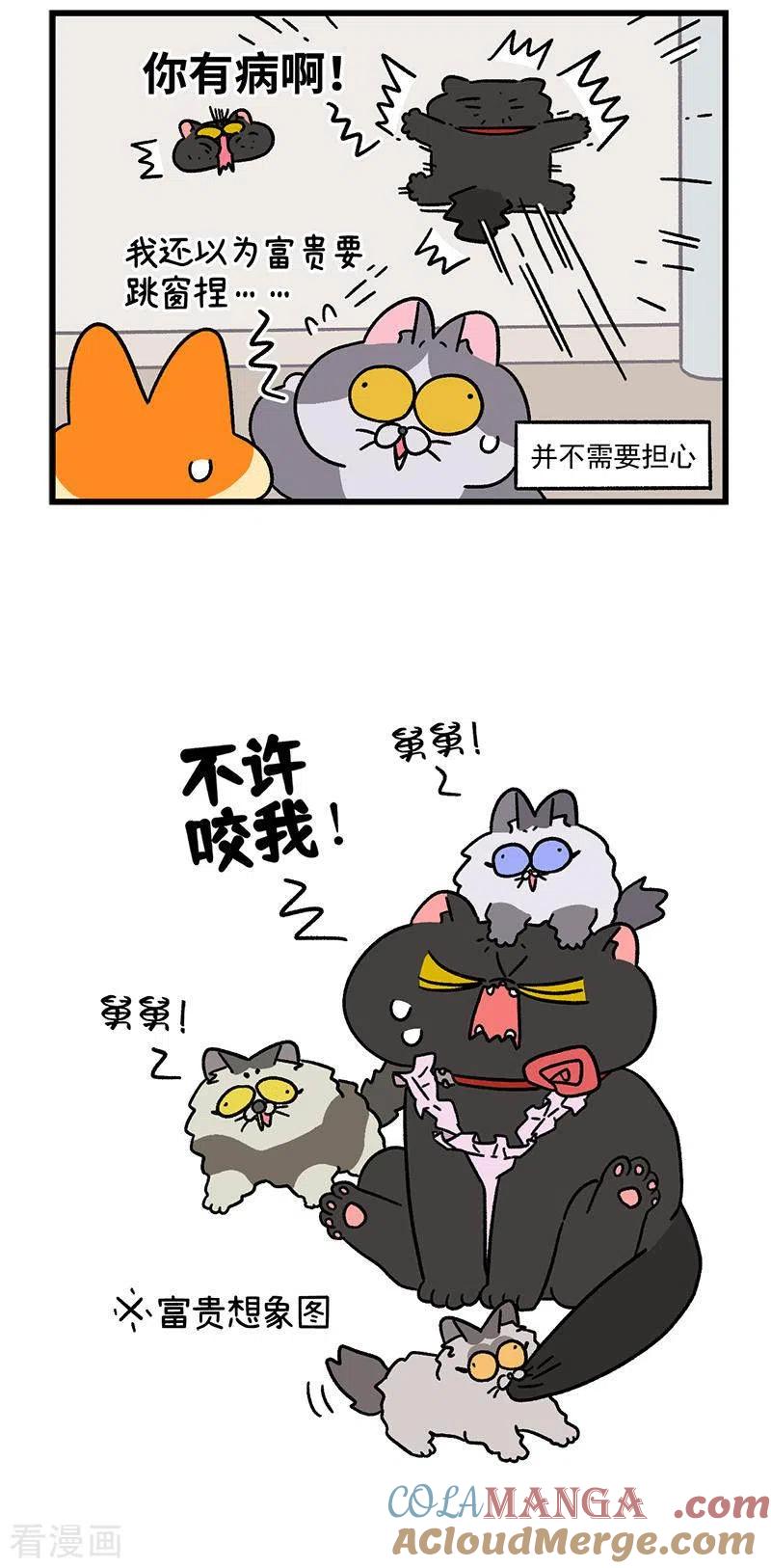 第104话2哥哥的让步-阿满和麦茶-新漫画 日胖大海寺（第5张）
