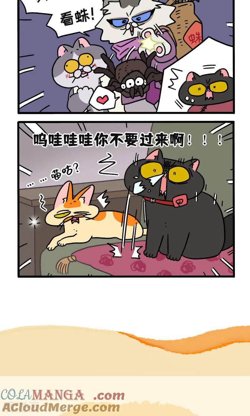 第105话1妹妹的幸福-阿满和麦茶-新漫画 日胖大海寺（第6张）