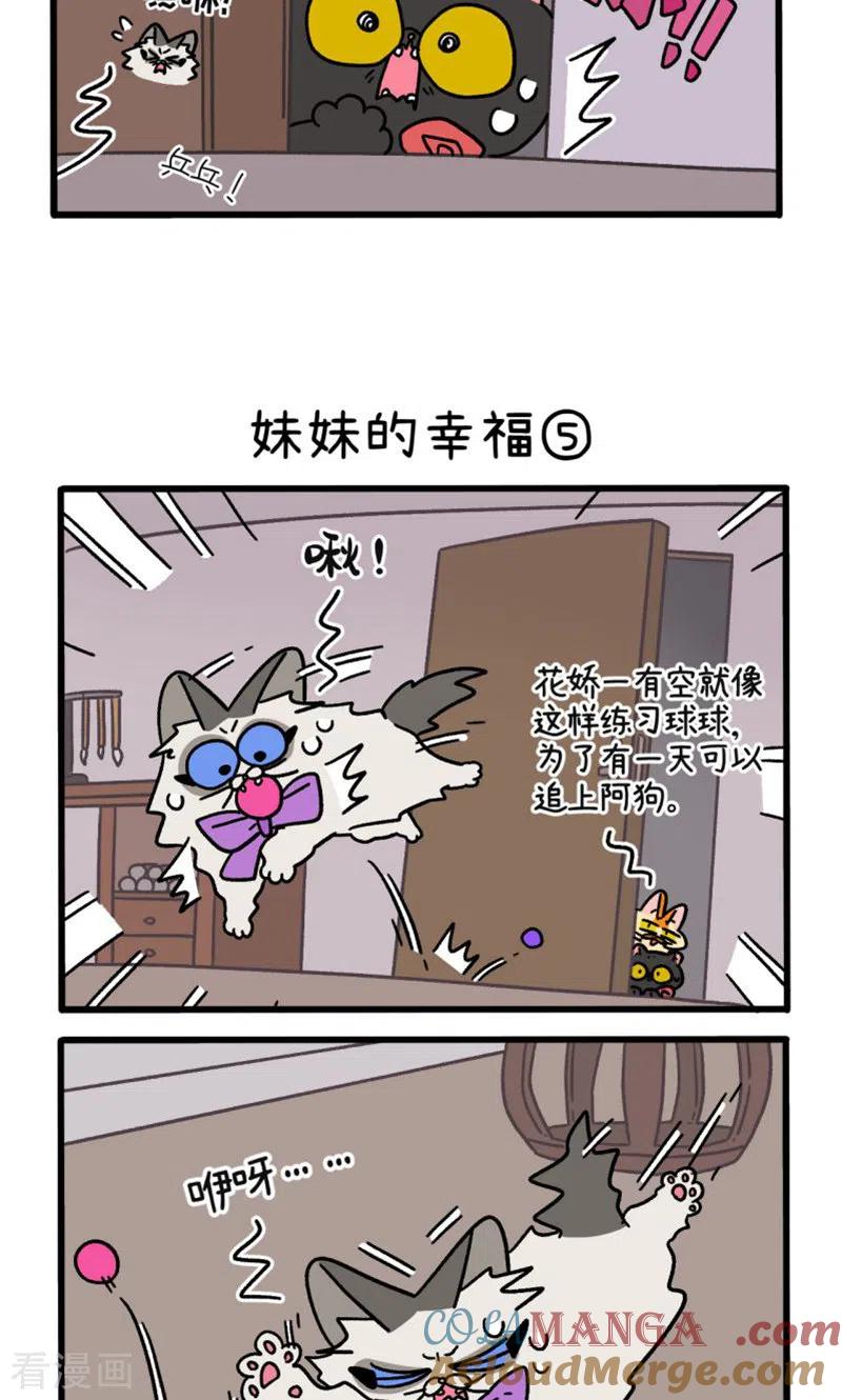 第105话2妹妹的幸福-阿满和麦茶-新漫画 日胖大海寺（第3张）