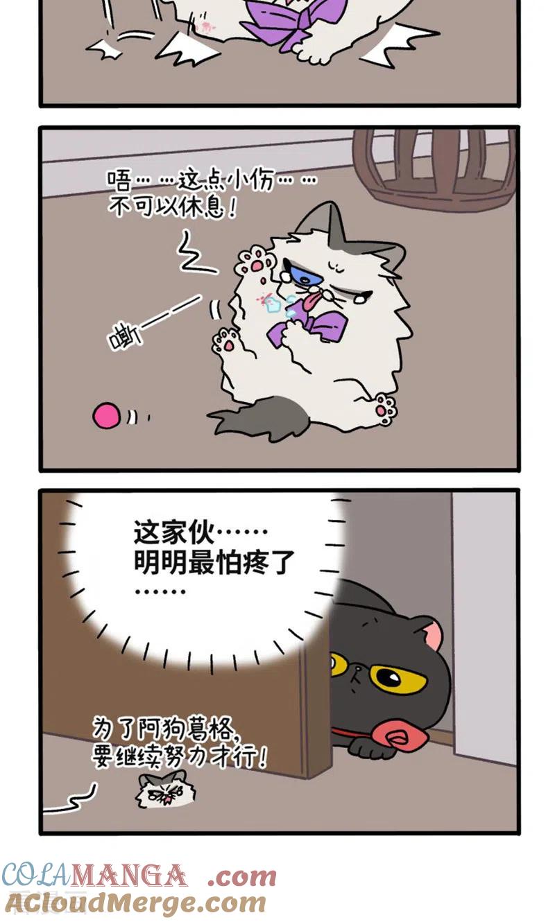第105话2妹妹的幸福-阿满和麦茶-新漫画 日胖大海寺（第4张）