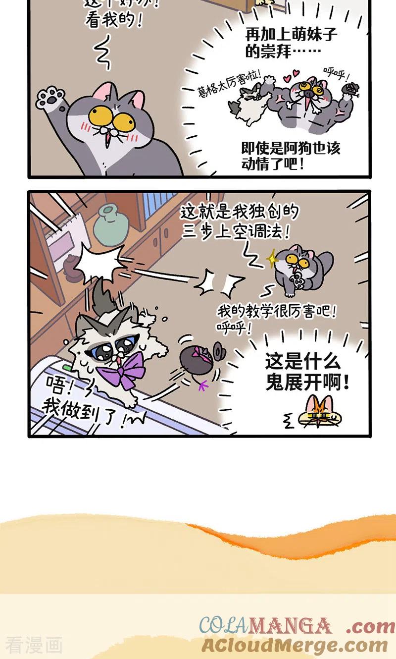 第106话1助攻-阿满和麦茶-新漫画 日胖大海寺（第6张）