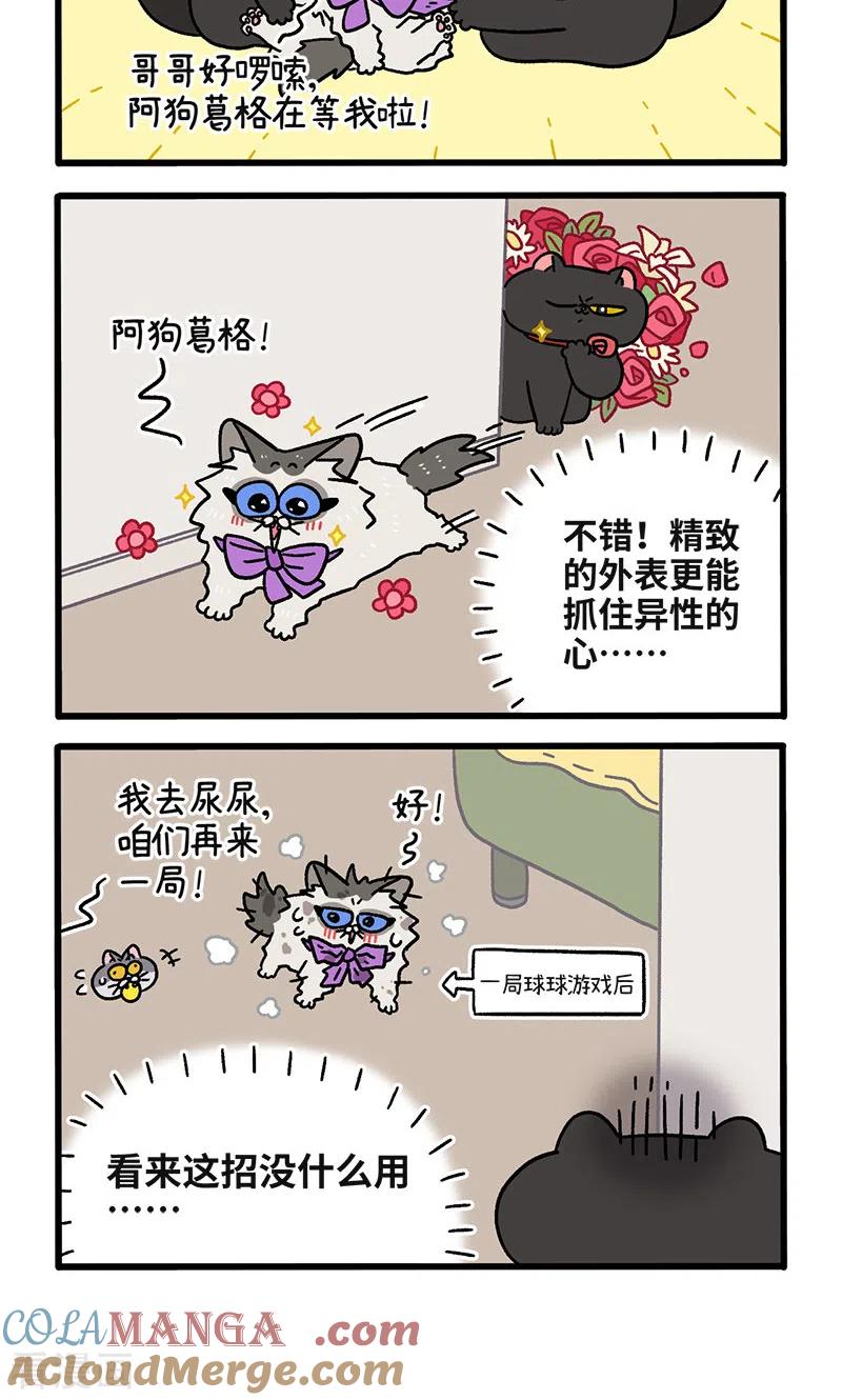 第106话1助攻-阿满和麦茶-新漫画 日胖大海寺（第4张）
