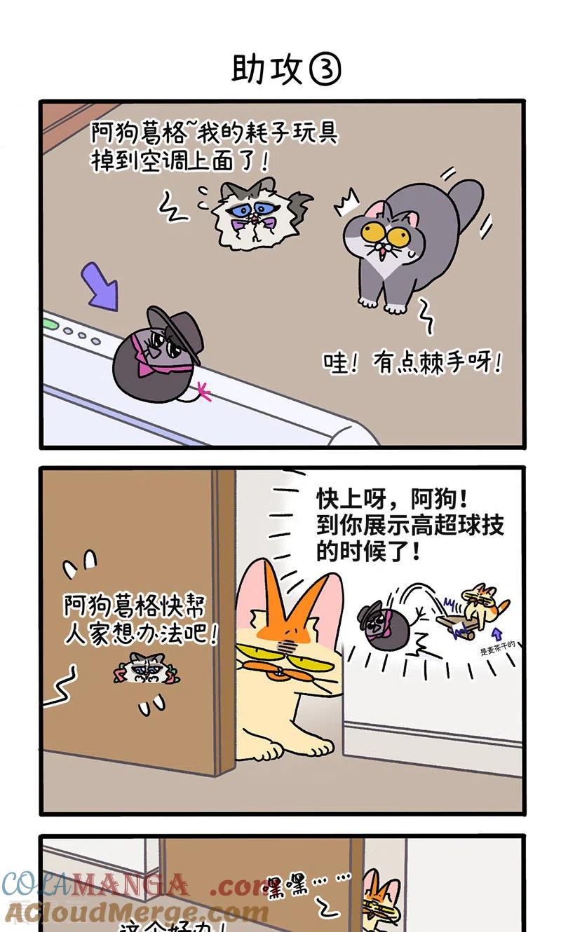 第106话1助攻-阿满和麦茶-新漫画 日胖大海寺（第5张）