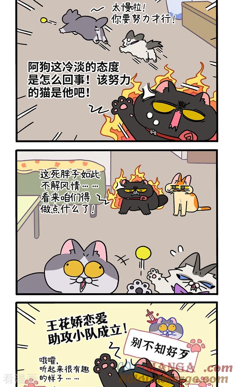 第106话1助攻-阿满和麦茶-新漫画 日胖大海寺（第2张）