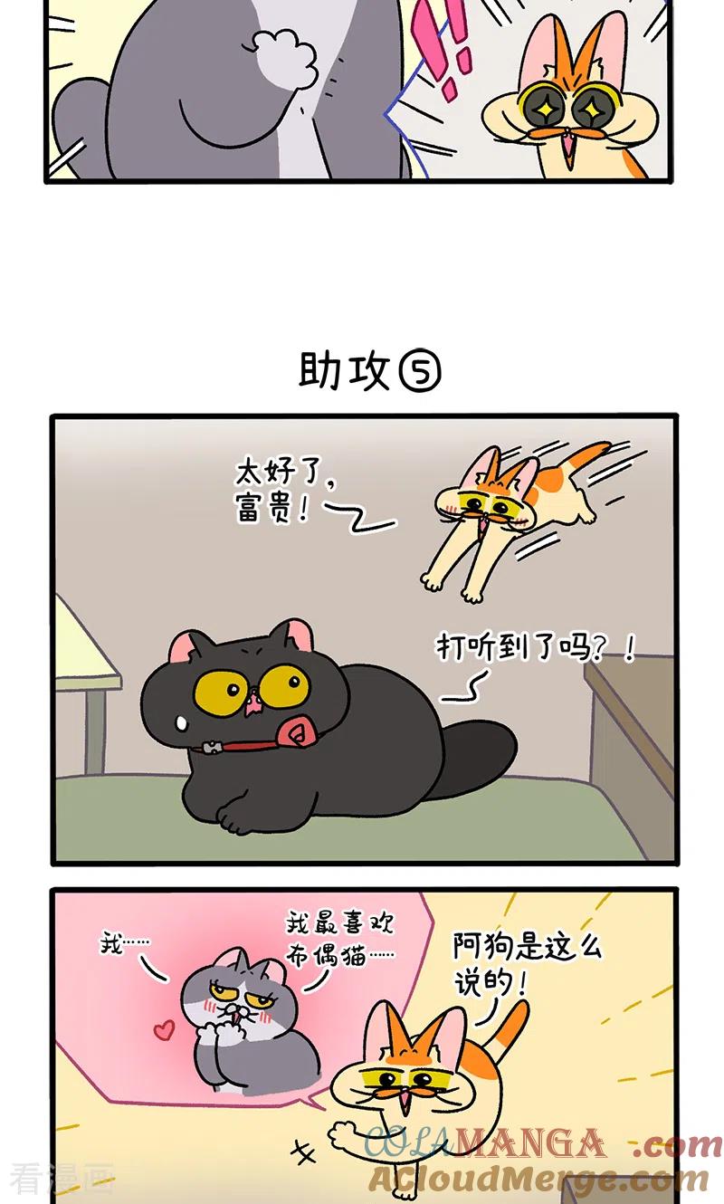 第106话2助攻-阿满和麦茶-新漫画 日胖大海寺（第3张）