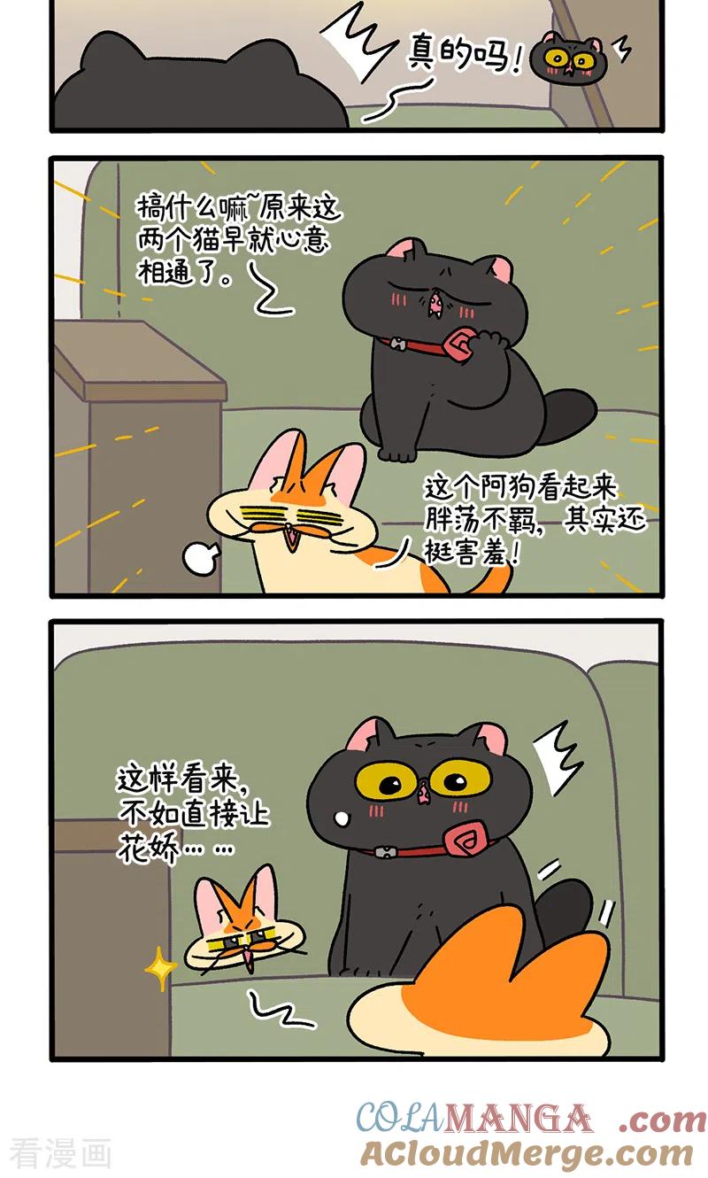 第106话2助攻-阿满和麦茶-新漫画 日胖大海寺（第4张）