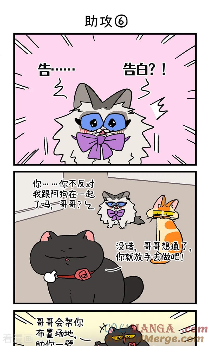 第106话2助攻-阿满和麦茶-新漫画 日胖大海寺（第5张）