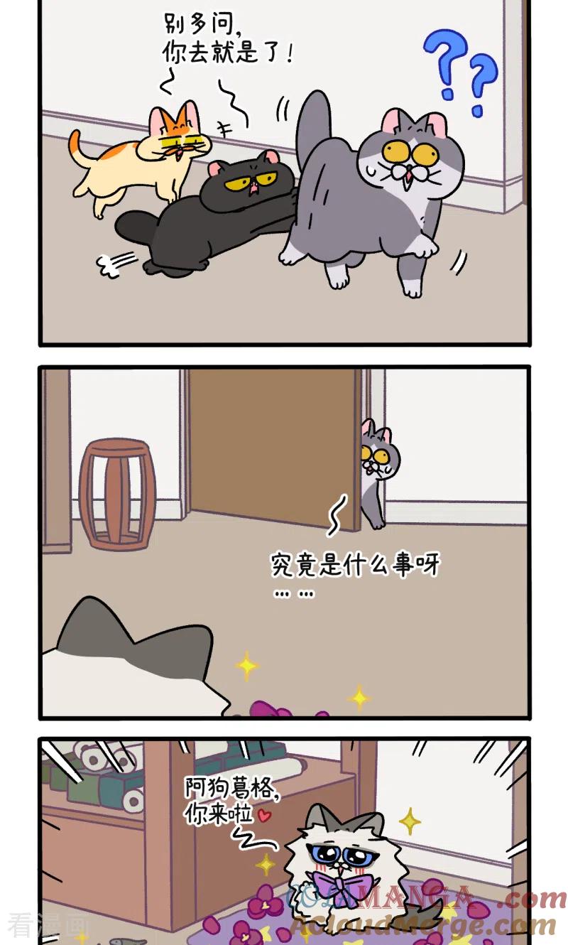 第107话1告白-阿满和麦茶-新漫画 日胖大海寺（第2张）