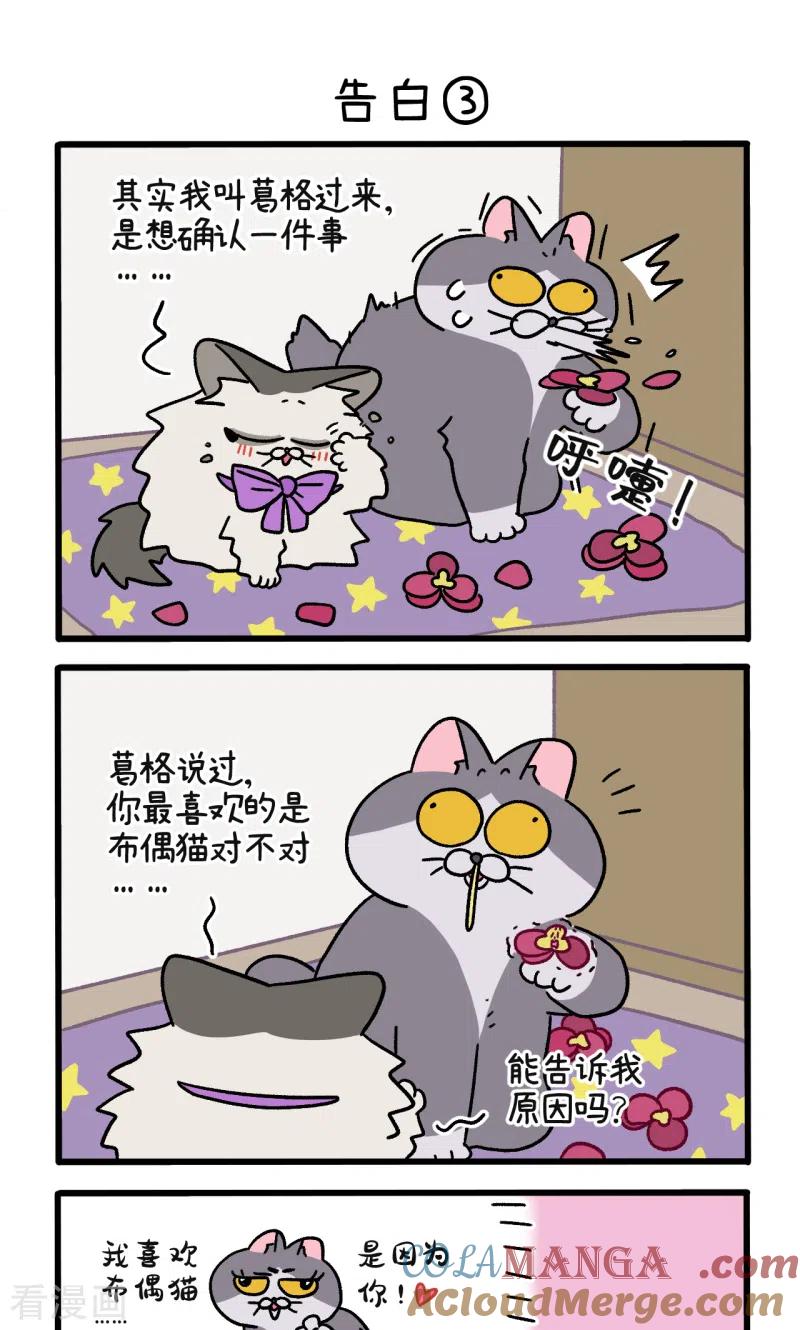 第107话1告白-阿满和麦茶-新漫画 日胖大海寺（第5张）