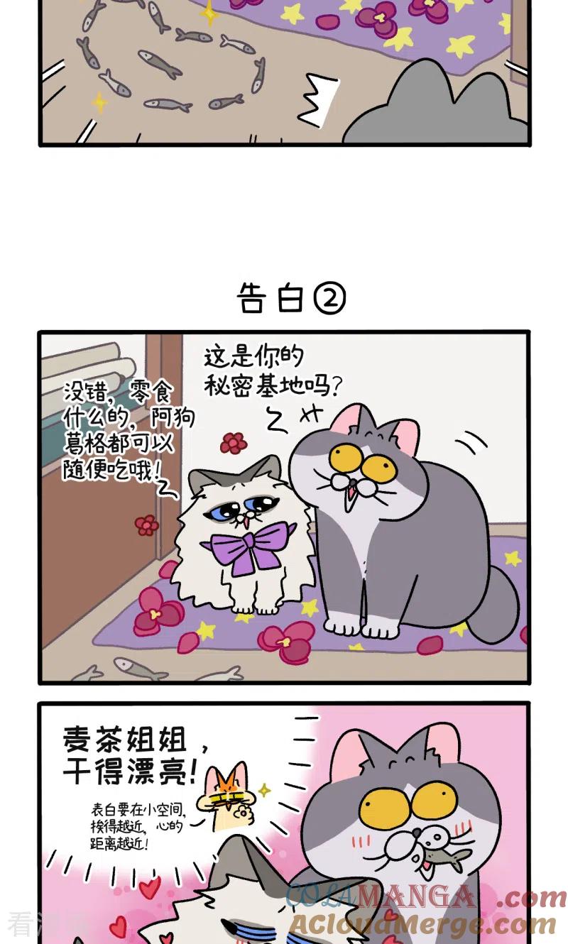 第107话1告白-阿满和麦茶-新漫画 日胖大海寺（第3张）