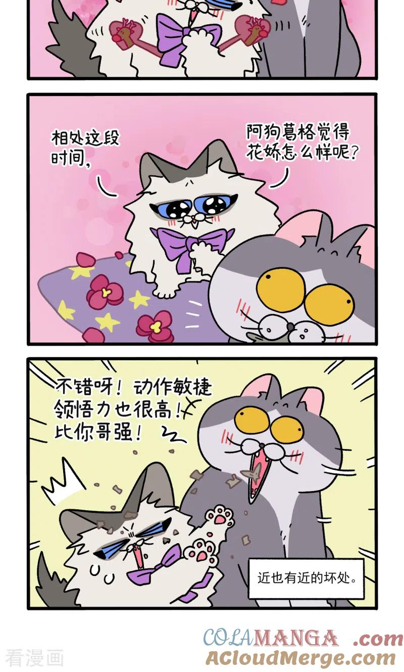 第107话1告白-阿满和麦茶-新漫画 日胖大海寺（第4张）