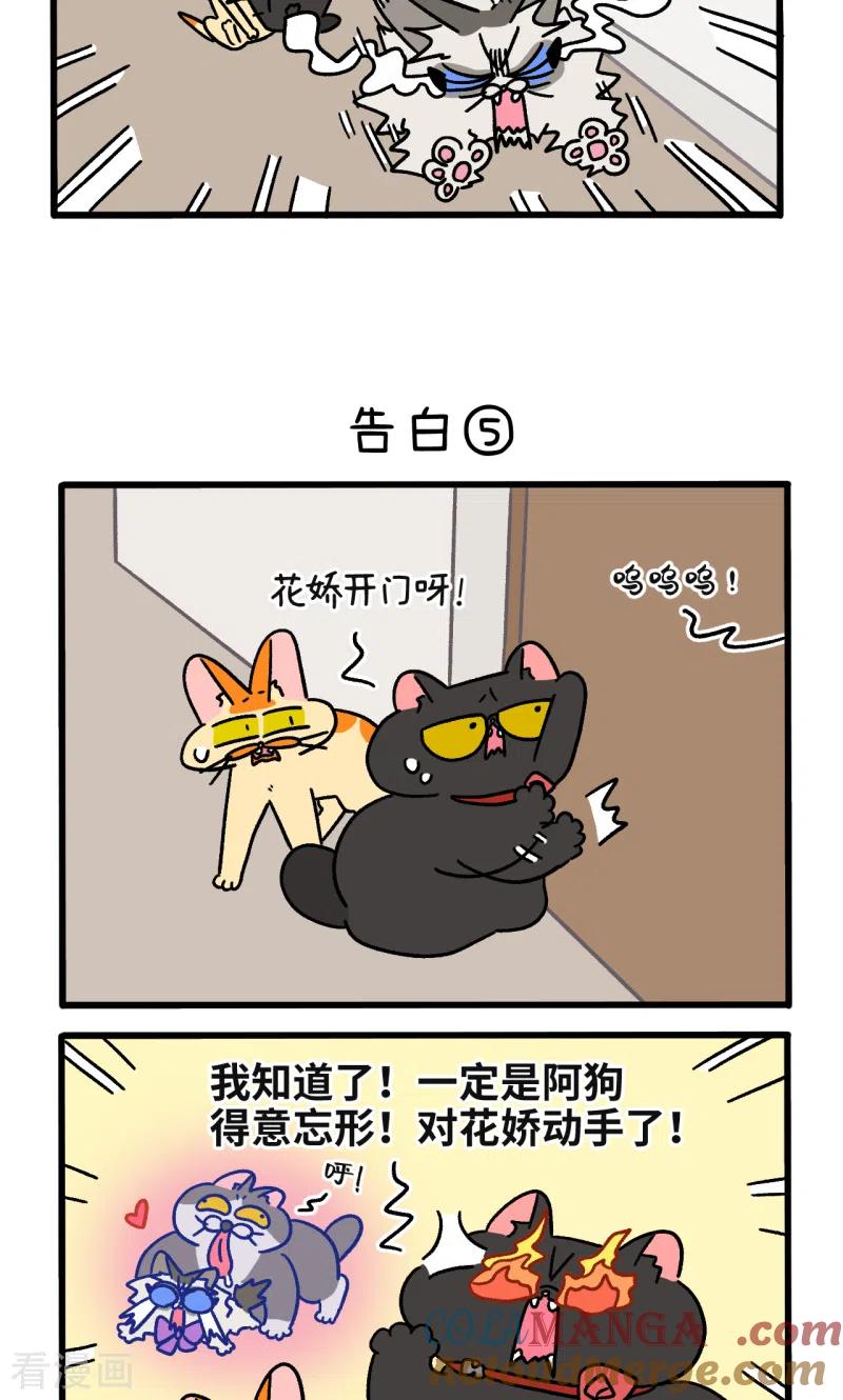 第107话2告白-阿满和麦茶-新漫画 日胖大海寺（第3张）