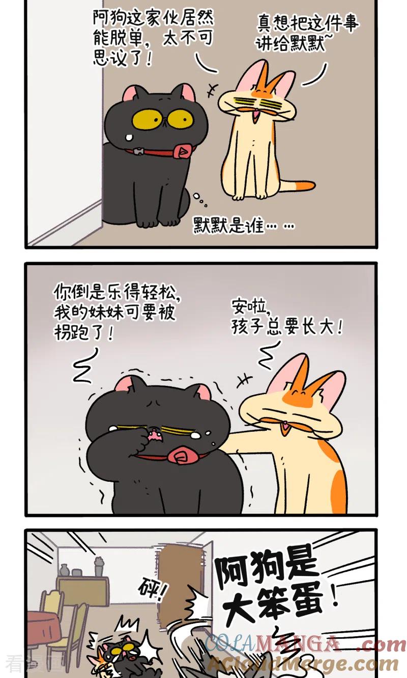 第107话2告白-阿满和麦茶-新漫画 日胖大海寺（第2张）