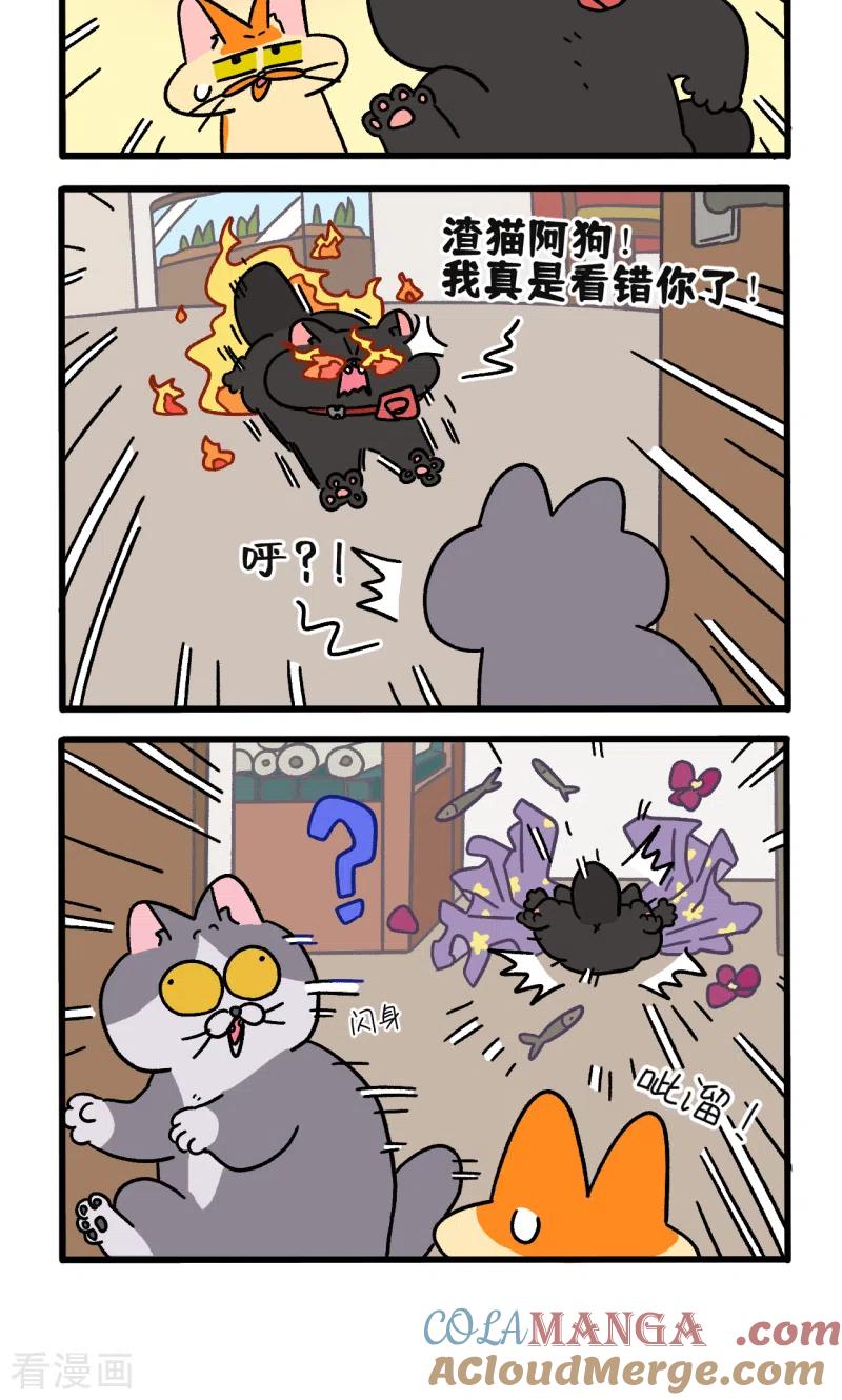 第107话2告白-阿满和麦茶-新漫画 日胖大海寺（第4张）