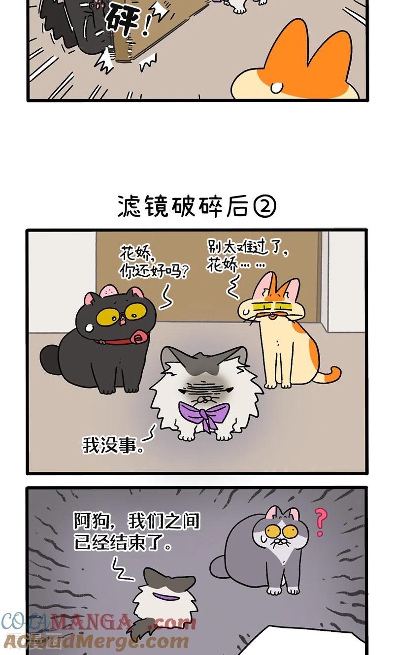 第108话1滤镜破碎后-阿满和麦茶-新漫画 日胖大海寺（第3张）