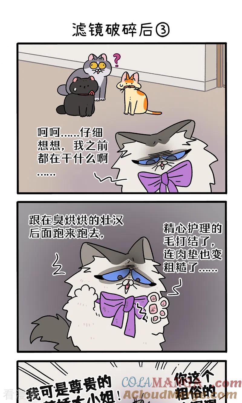 第108话1滤镜破碎后-阿满和麦茶-新漫画 日胖大海寺（第5张）