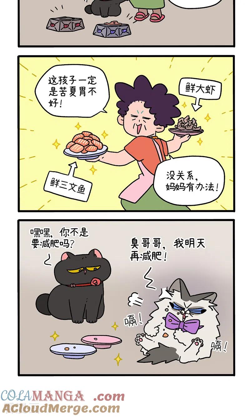 第108话2滤镜破碎后-阿满和麦茶-新漫画 日胖大海寺（第4张）