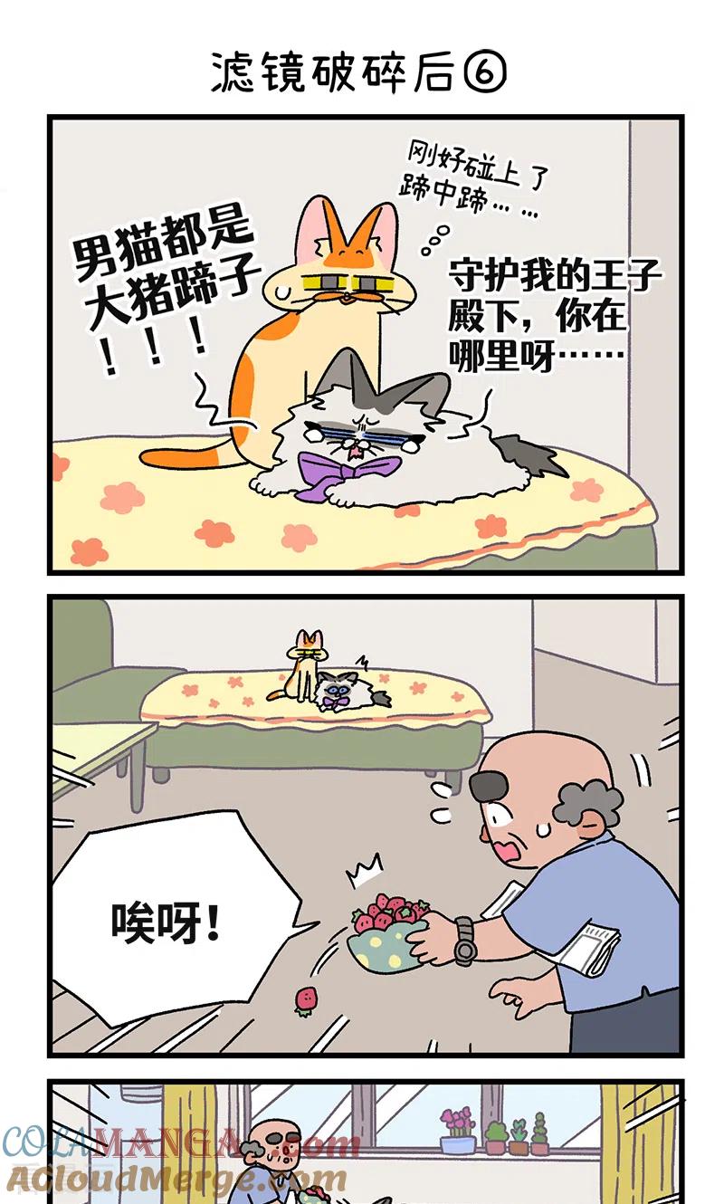 第108话2滤镜破碎后-阿满和麦茶-新漫画 日胖大海寺（第5张）