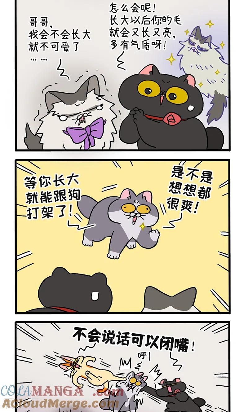 第108话2滤镜破碎后-阿满和麦茶-新漫画 日胖大海寺（第2张）