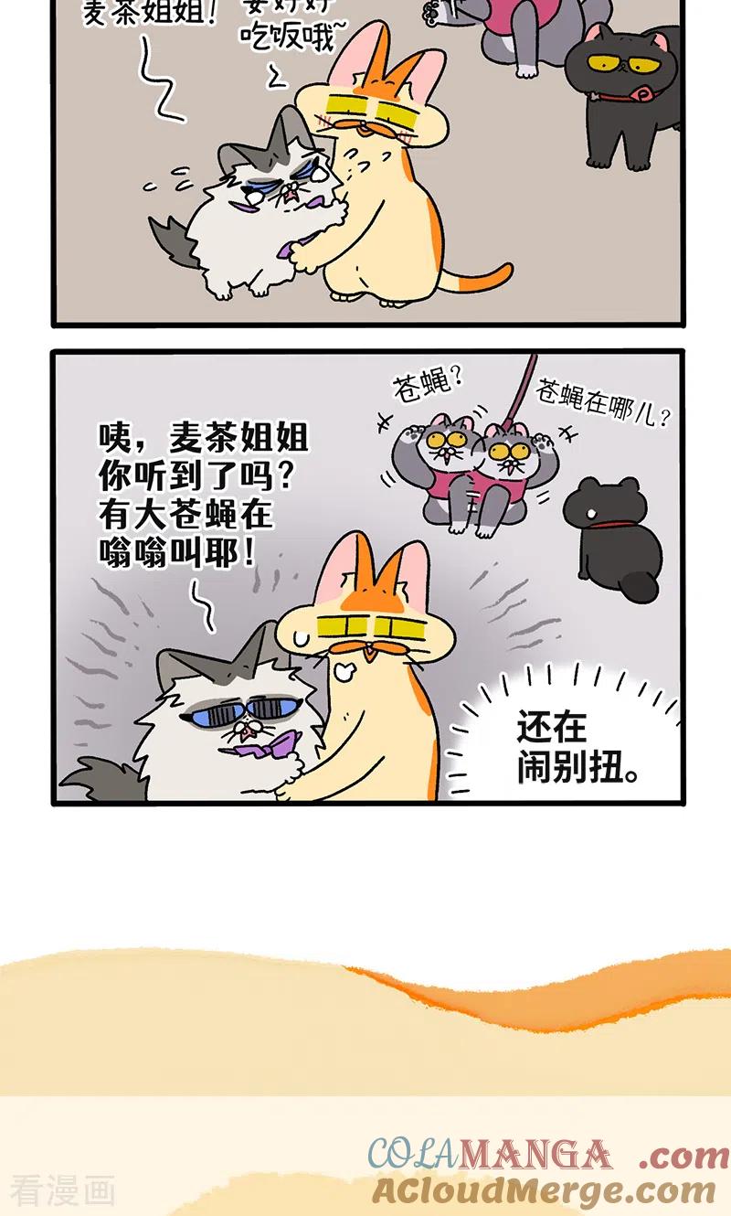 第109话1初恋的尾声-阿满和麦茶-新漫画 日胖大海寺（第6张）