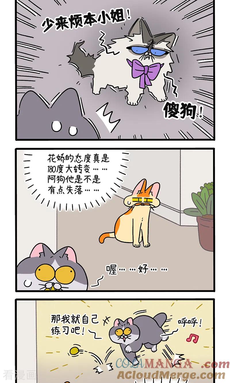 第109话1初恋的尾声-阿满和麦茶-新漫画 日胖大海寺（第2张）